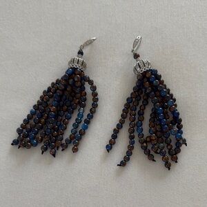 Elegant Beaded Tassel Earrings